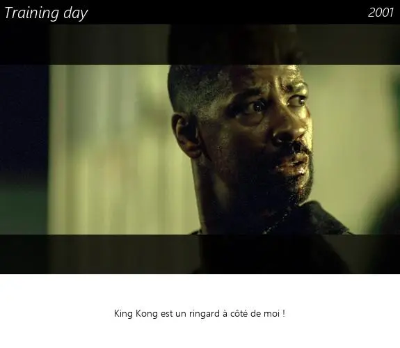 Vignette : Training day